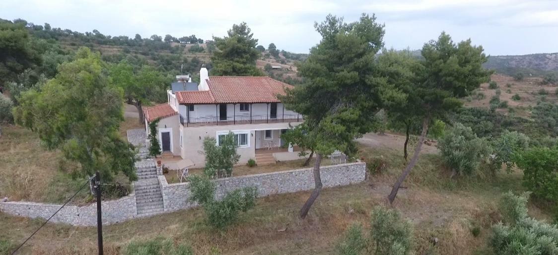 Olea Escape Villa In An Olive Estate 기티오 외부 사진