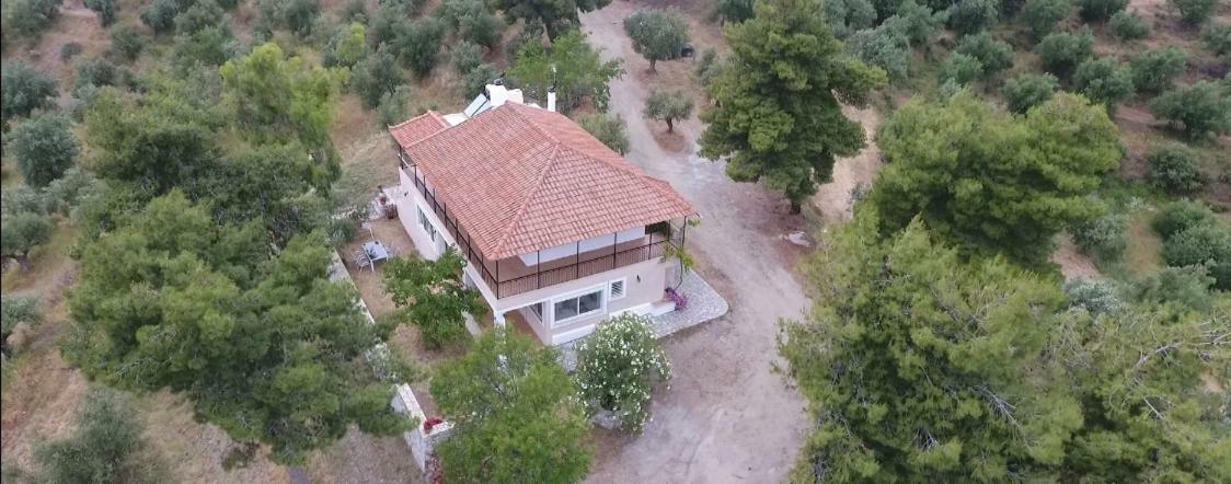 Olea Escape Villa In An Olive Estate 기티오 외부 사진